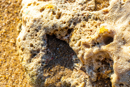 Corals coral pebbles stones and rock rocks on the beach sand at turquoise green and blue water in...