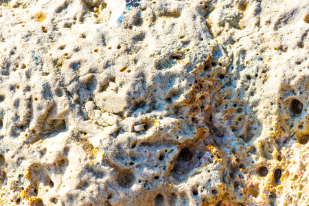 Corals coral pebbles stones and rock on the beach sand at turquoise green and blue water in Patong...