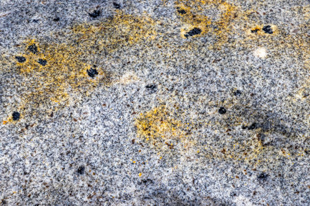 Wet yellow orange rock stone texture pattern in Patong Beach Kathu District Phuket Island Province Southern Thailand in Southeast Asia.の写真素材