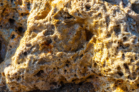 Corals coral pebbles stones and rock rocks on the beach sand at turquoise green and blue water in Kathu District Phuket Island Province Southern Thailand in Southeast Asia.の写真素材