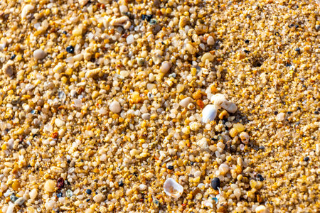 Corals, pebbles, stones, and rocks on the beach sand at turquoise green and blue water in Patong...