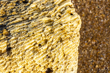 Corals, coral pebbles, stones, and rocks on the beach sand at turquoise green and blue water in Patong Beach, Kathu District, Phuket Island, Province, Southern Thailand in Southeast Asia.の写真素材