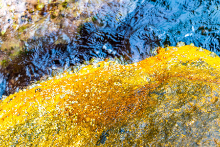 Shells mussels on rock rocks boulders at coastal sea beach in turquoise green blue water on Ilha Grande Big Island Angra dos Reis Brazil.の写真素材