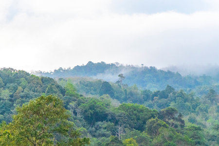 Tropical mountain with jungle forest trees plants clouds and blue sky in Southern Thailand in...