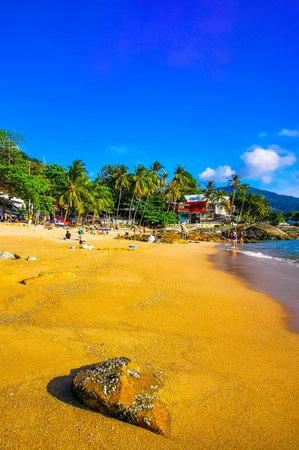 Kathu District Phuket Island Province Thailand February 06, 2026 Kalim Beach bay tropical landscape panorama view with tourists people turquoise water waves palm trees rocks in Patong Beach Thailand.のeditorial素材