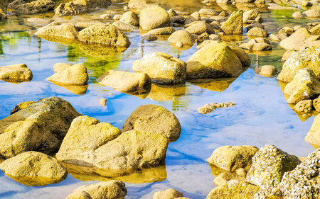 Rocky tropical seascape shore coast with turquoise blue green clear water waves sand boulders stones...