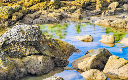 Rocky Kalim Beach tropical seascape shore coast with turquoise blue green clear water waves sand...