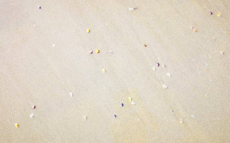Beach sand with pebbles colorful shells mussels and water texture pattern in Patong Beach Kathu...