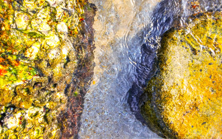 Rocky Kalim Beach tropical seascape shore coast with turquoise blue green clear water waves sand boulders stones and rocks with mussels shells in Patong Beach Kathu Phuket Island Southern Thailand.の写真素材