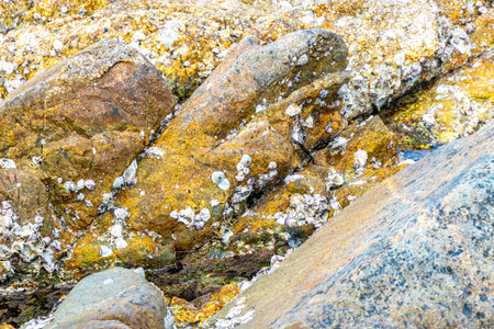 Rocky Kalim Beach tropical seascape shore coast with turquoise blue green clear water waves sand...