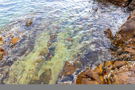 Rocky Kalim Beach tropical seascape shore coast with turquoise blue green clear water waves sand...