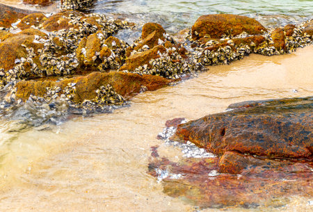 Rocky Kalim Beach tropical seascape shore coast with turquoise blue green clear water waves sand...
