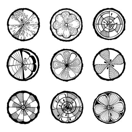 Lemon, orange and grapefruit black on a white background. Hand-drawn citrus. Stylized graphicsのイラスト素材