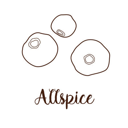 Allspice icon isolated on white background. Sketch. Vector illustrationのイラスト素材