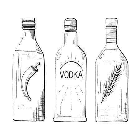 Sketch three different bottles of vodka. Pepper, classical and wheat.のイラスト素材