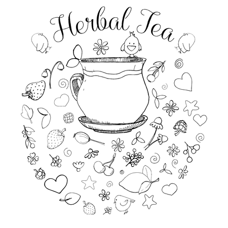 Hand drawn a cup, different herbs, plants, berries and birds. The inscription is herbal tea. Vector illustration of a sketch style.のイラスト素材