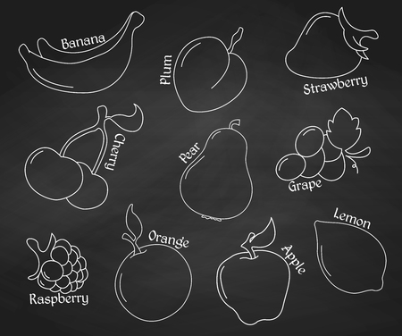 Fruits on the chalkboard. Line icons. Vector illustration.のイラスト素材
