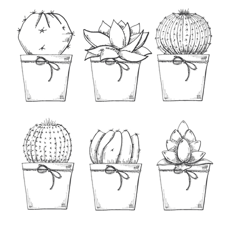 Sketch of succulents in pots. Vector illustration of a sketch style.のイラスト素材