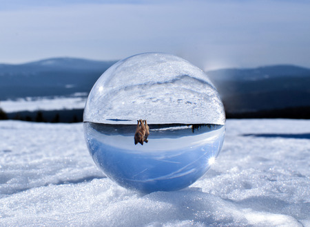 Winter mountain landscape in crystal ball.の写真素材