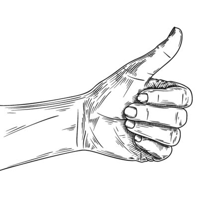 Sketch hand with a raised thumb. Hitchhiking sign, good. Vectorのイラスト素材