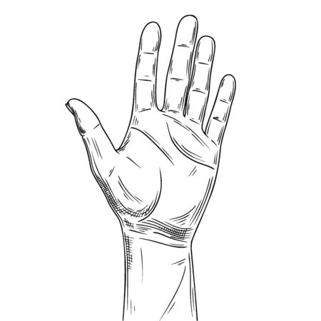 Sketch of counting hand isolated on white background. Open palm showing number five. Vector illustrationのイラスト素材
