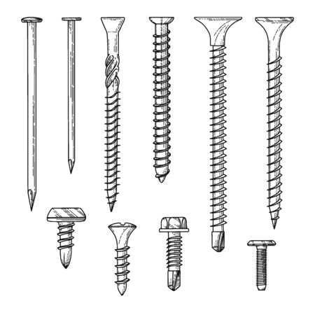 Set of different screws, nails isolated on a white background. Vector illustrationのイラスト素材