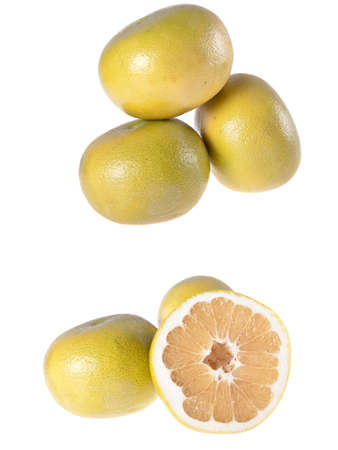 grapefruitの写真素材
