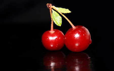 Cherryの写真素材