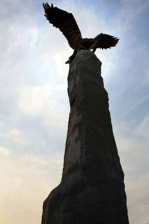 eagleの写真素材