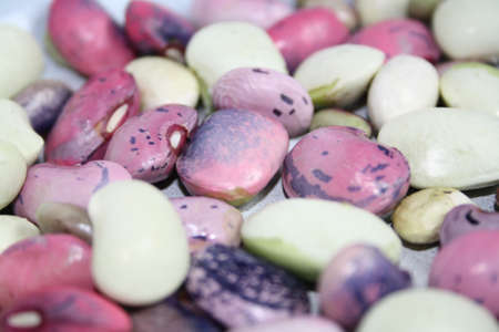 beansの写真素材