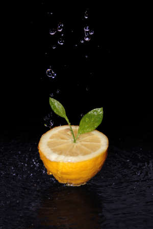 lemonの写真素材