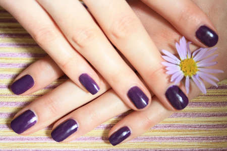 manicureの写真素材