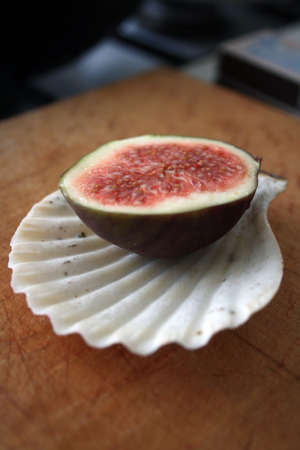 figs in shellの写真素材
