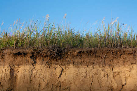 soil cross section