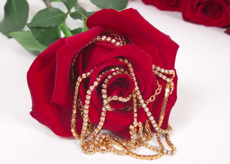 red rose with gold jewelry closeupの写真素材