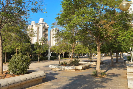 Nice green park in the middle of the city Israelの写真素材