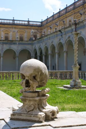 skullの写真素材