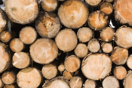 Close up of a stack of logsの写真素材