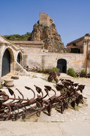 Tuna of Scopello, Sicily in Italyの写真素材