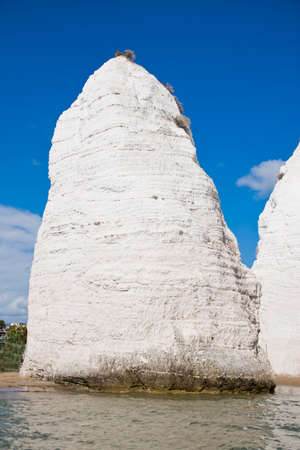 Pizzomunno rock in Vieste, Apulia in Italyの写真素材