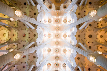 Columns and vaulted ceiling of the Sagrada Familia, Barcelona in Spainの写真素材