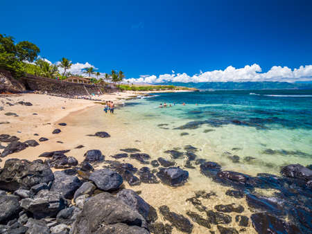 Ho'okipa Beach Park in Maui Hawaii- Aug 2019: renowned windsurfing and surf site for wind, big waves and big Turtles drying on sand. Snorkeling paradise for coral reefs.のeditorial素材