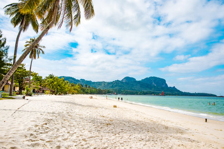 Palm trees line white sand beach and turquoise water on Koh Mook island, Kantang, Trang, Thailand, showcasing a perfect sunny day for tropical travel and ocean swimmingの写真素材