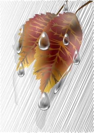 Autumn leaves under the rainのイラスト素材