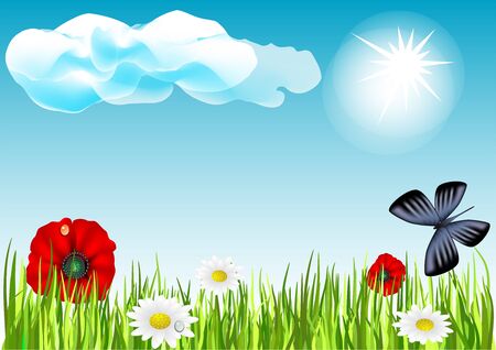 vector background  Field with butterflies and flowersのイラスト素材