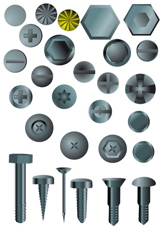 set of screws and nails isolated on whiteのイラスト素材