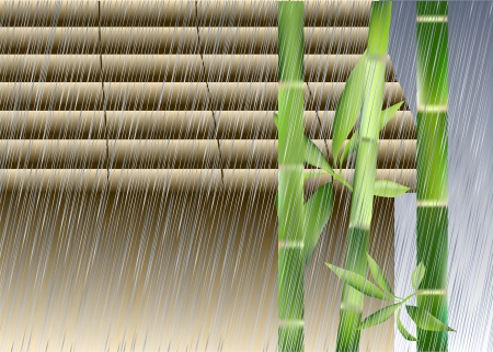 Bamboo under the rain  Backgroundのイラスト素材