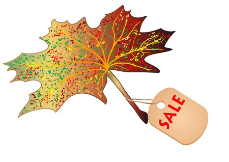 autumn maple leaf with the label saleのイラスト素材