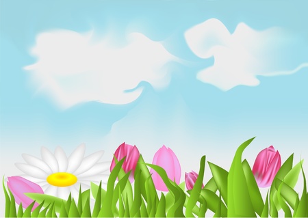 tulips and camomile on a background of the skyのイラスト素材