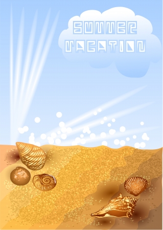 summer vacation  summer background with sea shells のイラスト素材